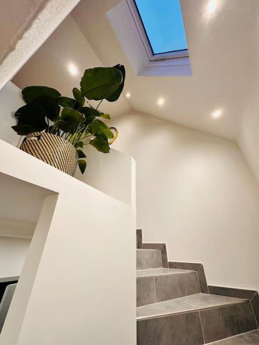 Superbe Maison A Proximite Du Centre De Strasbourg Bischheim Bagian luar foto